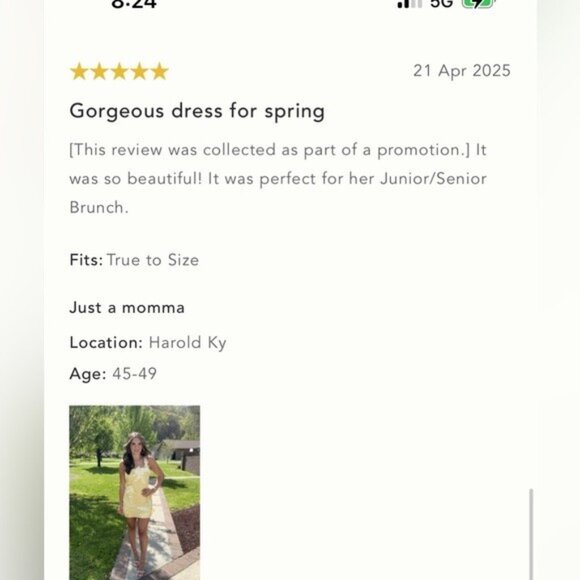 NWT Size S - Hutch 3D Floral Appliqué Linen Blend Dress (NWT US$ 218) - Picture 4 of 16